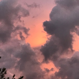 Illinois Home School Community Telegram Group Link