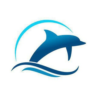 🎁 SEO 🦈 TIBURONES NICHEROS🚀 Amazon 💵 AdSense 🏅 Ingresos Pasivos con Nichos #Nichos Telegram Group Link