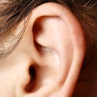 GRUPO Ent. Auriculoterapia