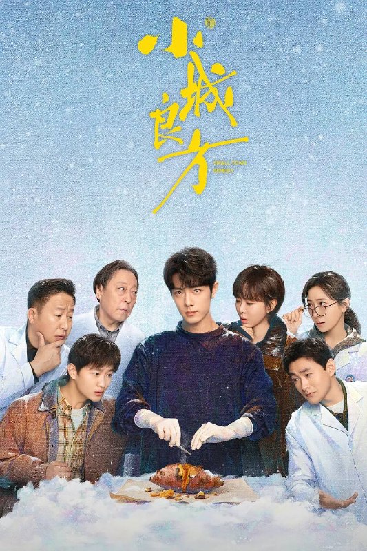名称：小城良方(2026） 更新至06集