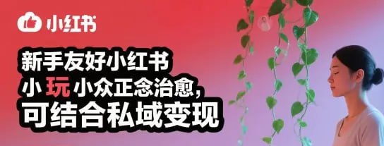 ✍️  《新手友好小红书小众正念治愈 玩法简单 可结合私域变现》💡  项目介绍