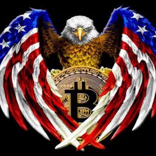Bitcoin USA Earnings Telegram Group Link