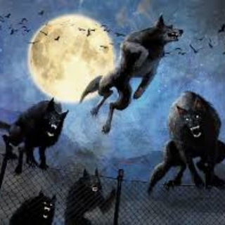 Wolfmoon🌗🐺 Telegram Group Link