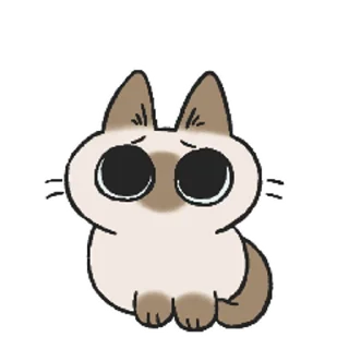 Video Sticker