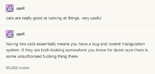 猫咪的特长就是看东西！真是非常有用的能力！有两只猫咪，就意味着你家里有了一套精准的昆虫和啮齿动物的探测设备。如果你发现你家的两只猫咪都在盯着同一个地方，那地方保准是有什么不请自来的家伙！ source