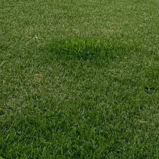 Hablando de NBA Telegram Group Link