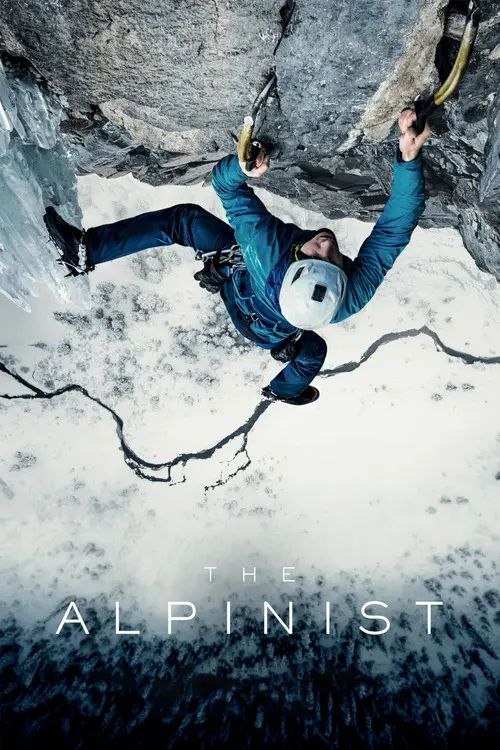 名称：【原盘】登山家 (2021) 1080P REMUX 内封简繁特效字幕