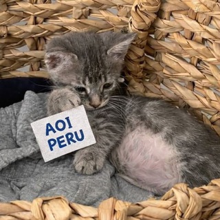 AOIPERU