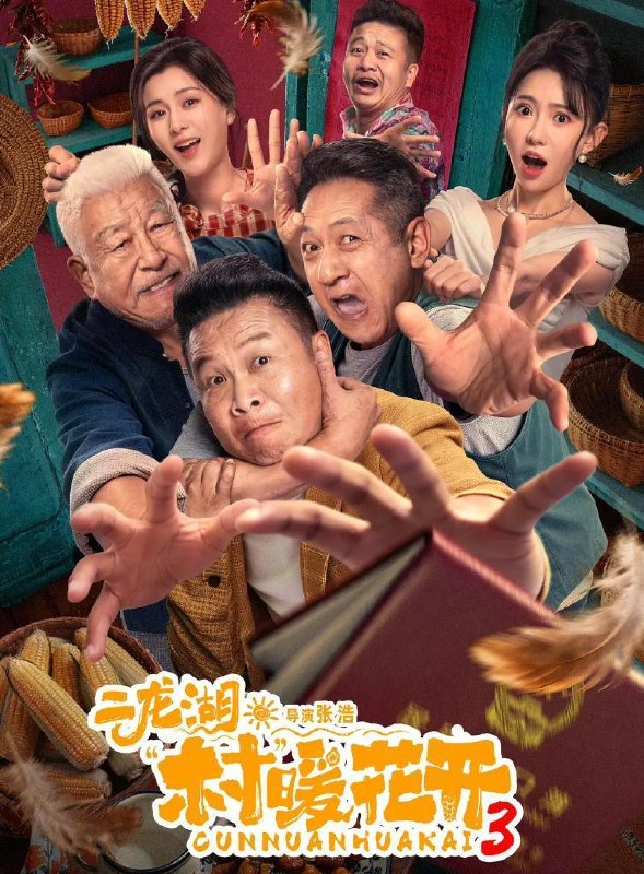 名称：电视剧：二龙湖·村暖花开3 (2026)   24集全