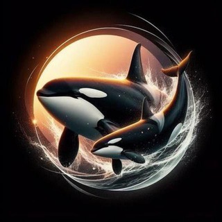 Telegram profile photo for TRENCH WHALERS CALLS