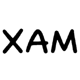 Xam Idea PDF free download book notes exam ideas jee neet upsc class 8 9 10 12 11 boards physics eng Telegram Group Link