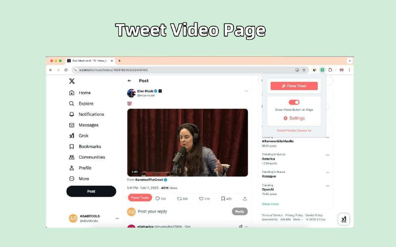 🕊 TwitDloader - 高清推特视频下载插件▎插件平台