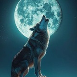 狼友榨汁报告-免费上榜