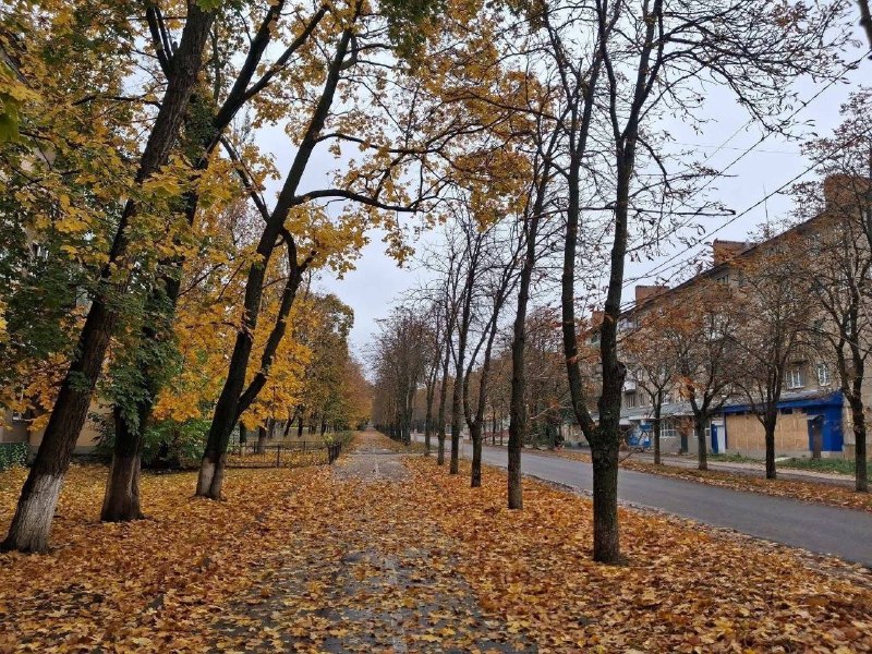 Kramatorsk.

The leaves are falling. It will be increasingly difficult for Russian and Ukrainian soldiers to conduct inf… - news image