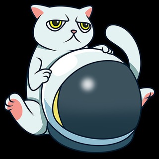 Cat Token Telegram Group Link