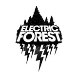 Electric Forest Festival