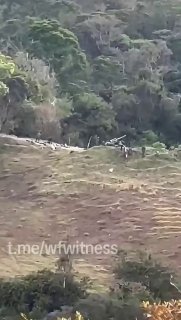 ️🇨🇴 הפעולות הצבאיות התגברו לאיתור הכינוי סילבנה גררו, מפקדת ה-ELN, לאחר שנשיא קולומביה הורה על לכידתה או…