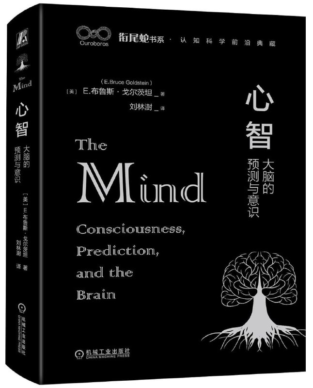 名称：《心智：大脑的预测与意识》（azw3+epub+mobi+pdf)