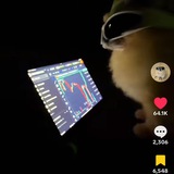 Kori The Pom
