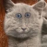 это что такое👀👀