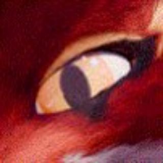 🦊 IntensoFOX'S Den 🐾 Canal de Divulgação!