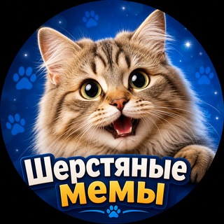 Шерстяные мемы