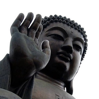 Budachat Telegram Group Link