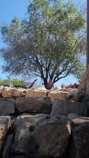Settlers are hiding at the moment of a resistance attack in the "Al-Ain" area between the villages of Deir Nizam and Nabi Saleh, northwest of the city of Ramallah.