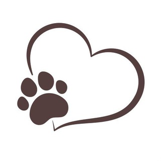 Adopta Patitas Costa Rica 🐶