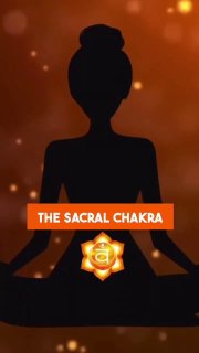 🧡SACRAL CHAKRA🧡