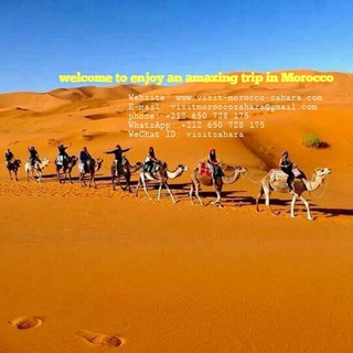 Visit Morocco Sahara - Tour Company Telegram Group Link