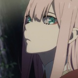 鹤望兰