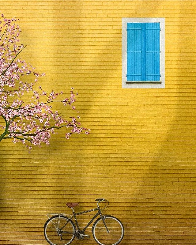 Spring by 🐓Artie🌾 source