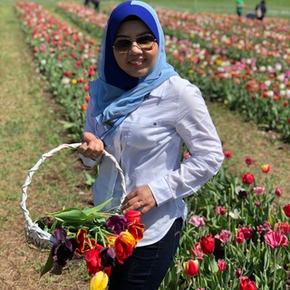 Busy Bee 🐝 Telegram Group Link