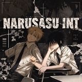 NARUSASU INT