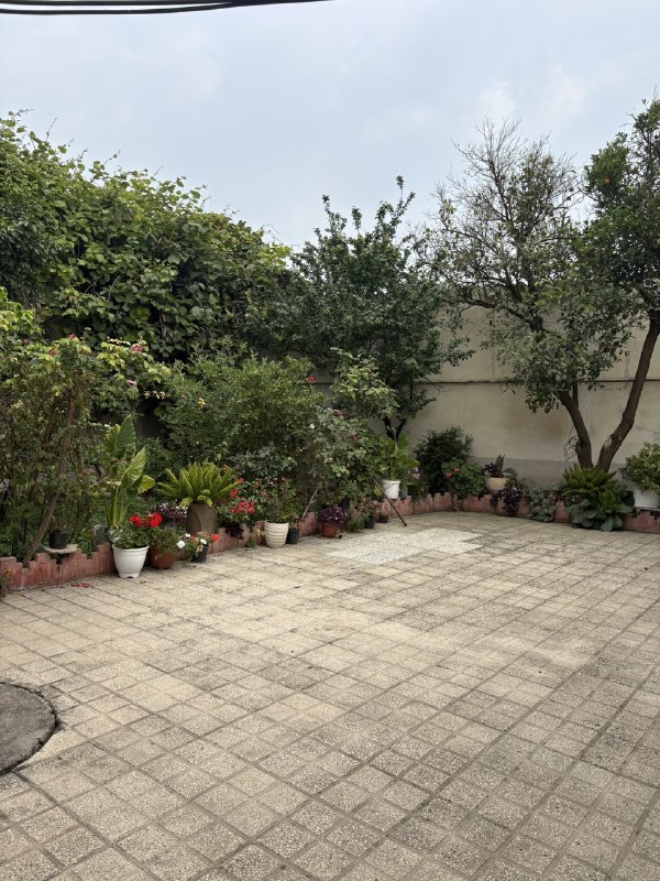 ایستگاە خندە: ‏حیاط خونه مامان باجیم واقعا مثل حیاته💗🌸🩷