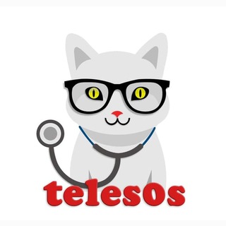 ЧАТ ⚕️Телемед⚕️ Telegram Group Link