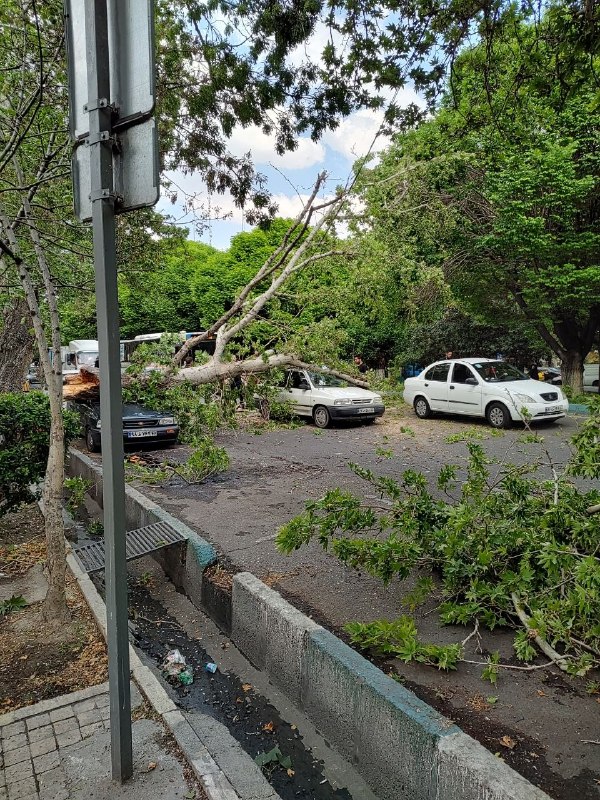 Documentation from Tehran - 2026-04-29