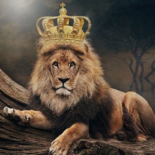 🄻4 🦁 🅲︎🅻︎🆄︎🅱︎🅴︎ 👑 4️⃣5️⃣9️⃣ Tribo de Judá 7️⃣❌🆘🩸 Telegram Group Link