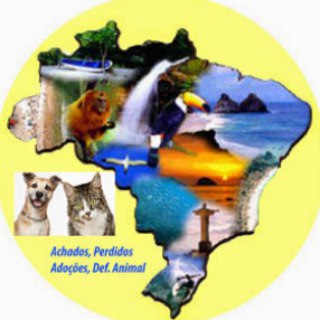 SOS Cães e Gatos do Brasil Telegram Group Link