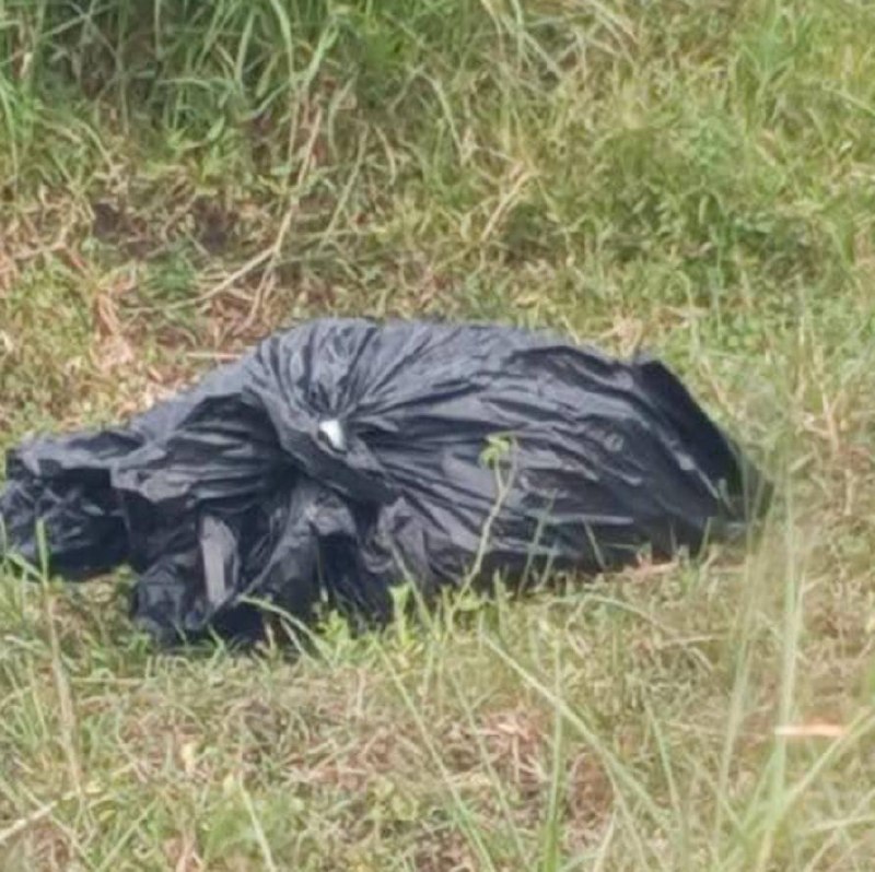 波贝大事件：柬埔寨波贝惊现荒野分尸案 野狗拖出装有两具男尸的黑塑料袋 据柬媒报道配图
