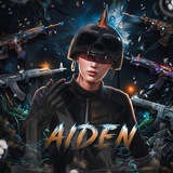 AIDEN🌏