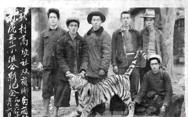 【来自投稿】上个世纪五十年代，新中国正开始声势浩大地进行土地改革运动，因为固有耕地数量不够，政府开始鼓励百姓开垦荒地，无数的荒地开始被挖掘，成为百姓的自有耕地