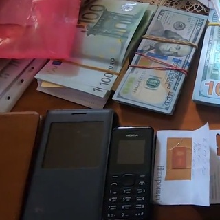 全球护照 手持 自拍