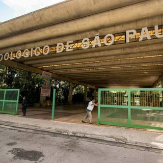 Grupo Pq. Bristol, Liveiro e afins