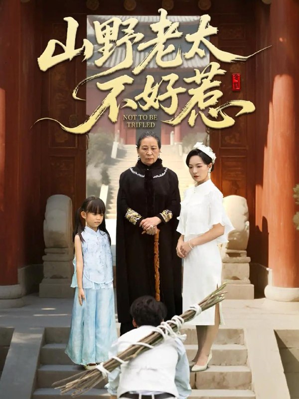 2025年11月26日短剧合集目录4