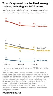 川普在拉丁裔选民中的赞成率：27%，在拉丁裔哈里斯投票者中的赞成率：0，在拉丁裔川普投票者中的赞成率：81%。去年投票给川普的拉丁裔选民只有19%后悔了。