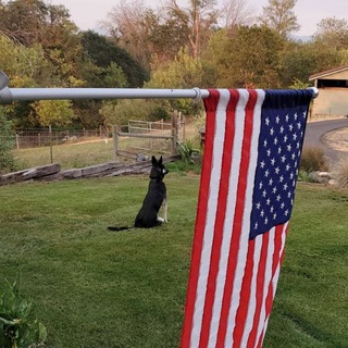 Oregon Patriots Against Jab Telegram Group Link