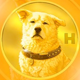 Hachiko | $HACHI PORTAL