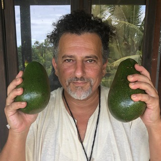 David Avocado Wolfe Telegram Group Link